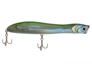 PEGASUS 135 - HOLOGRAPHIC NEEDLEFISH